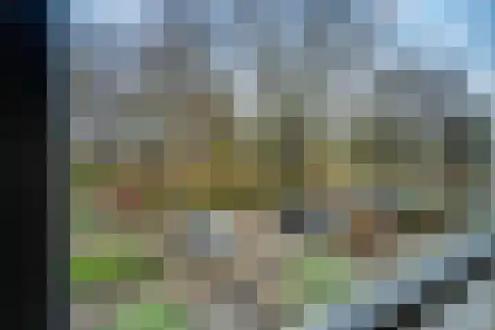 de Klencke 18 Roden thumbnail 32