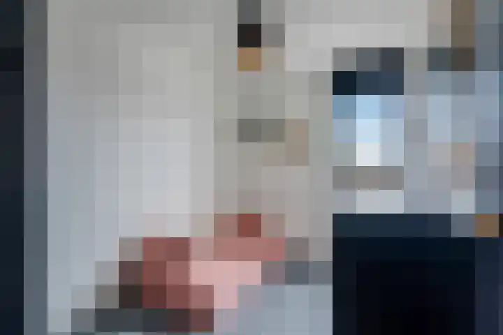 de Klencke 18 Roden thumbnail 36