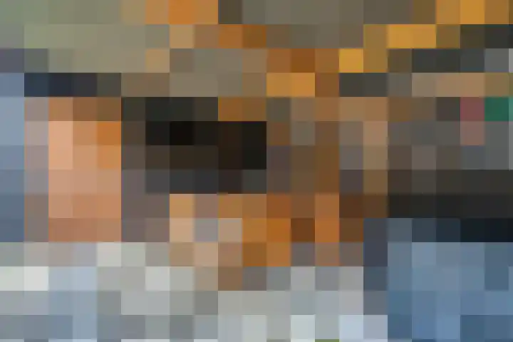 de Klencke 18 Roden thumbnail 46