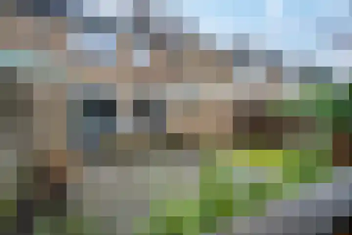 de Klencke 18 Roden thumbnail 47