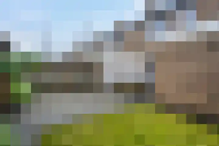 de Klencke 18 Roden thumbnail 48