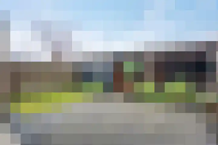 de Klencke 18 Roden thumbnail 50