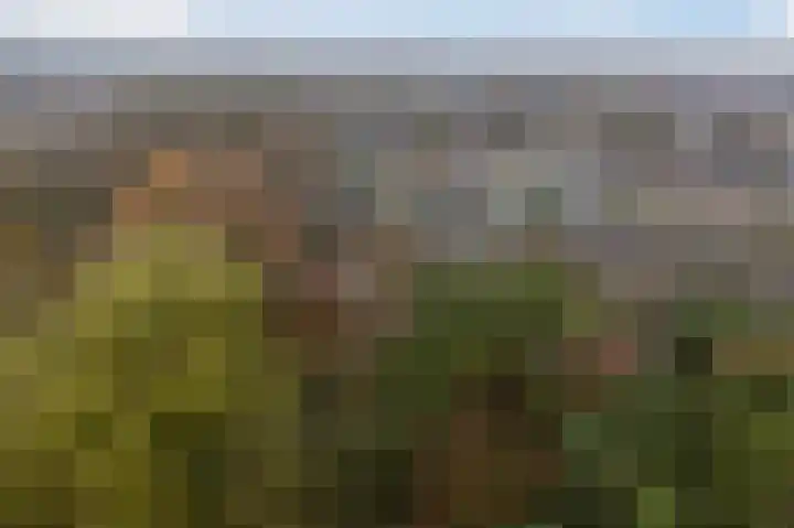 de Klencke 18 Roden thumbnail 53