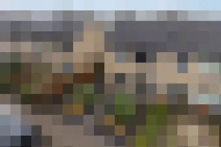 de Klencke 18 Roden thumbnail 54