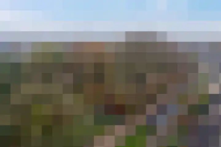 de Klencke 18 Roden thumbnail 56