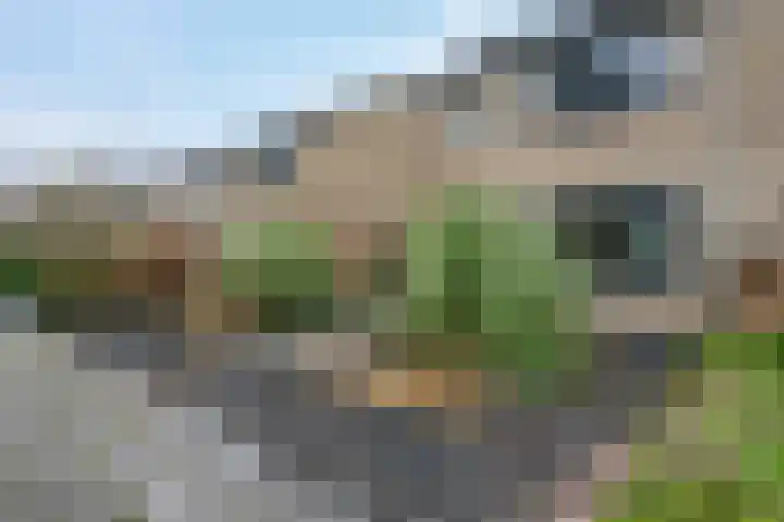 de Klencke 18 Roden thumbnail 6