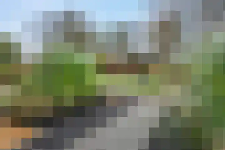 de Klencke 18 Roden thumbnail 7