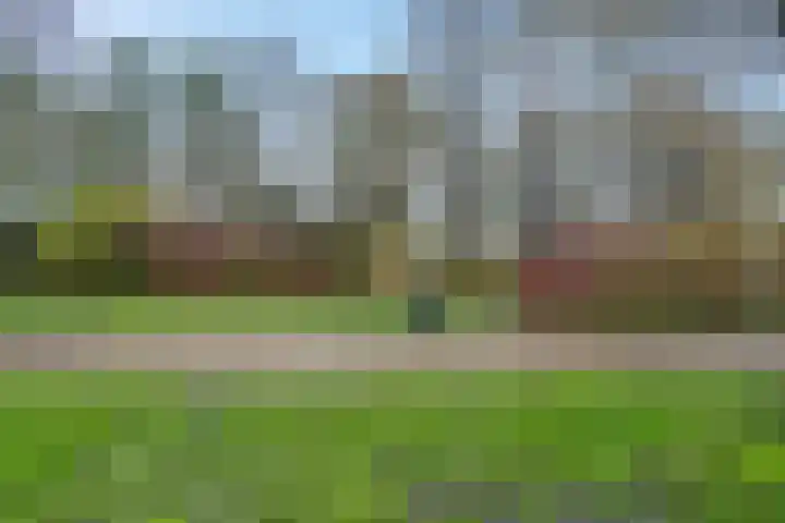 de Klencke 18 Roden thumbnail 8
