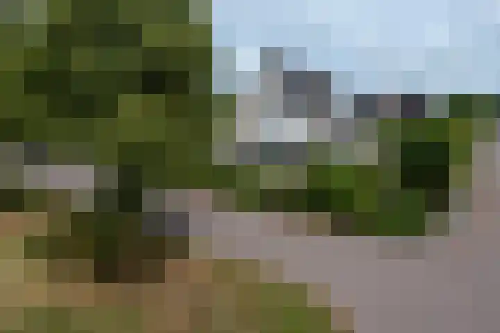 de Klencke 2 in Norg