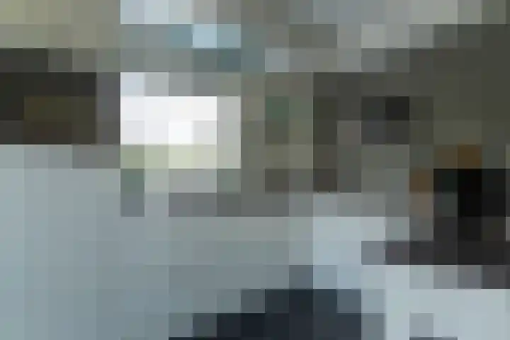 de Klencke 2 Norg thumbnail 15