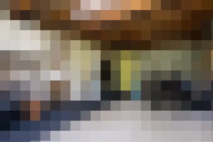 de Klencke 2 Norg thumbnail 21