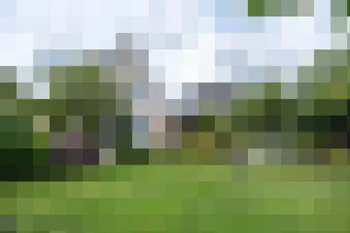 de Klencke 2 Norg foto 3