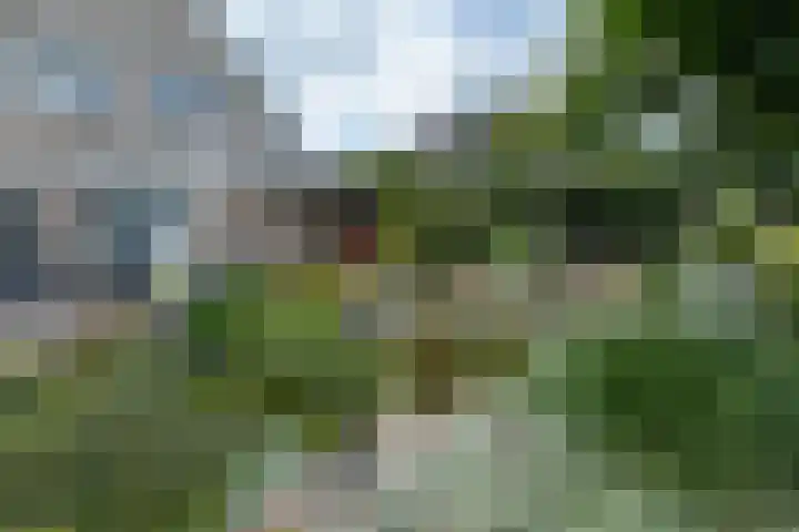 de Klencke 2 Norg thumbnail 42