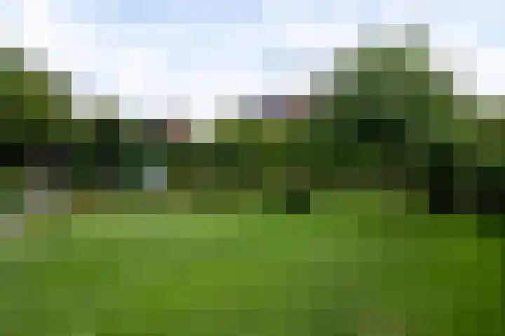 de Klencke 2 Norg thumbnail 44