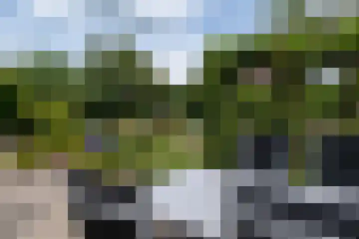 de Klencke 2 Norg thumbnail 52