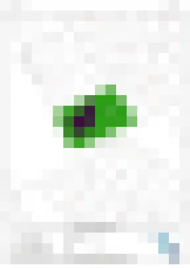 de Klencke 2 Norg thumbnail 55