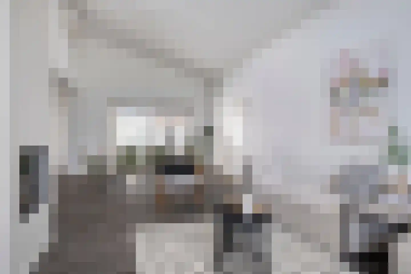 De Klencke 5 Eindhoven thumbnail 11