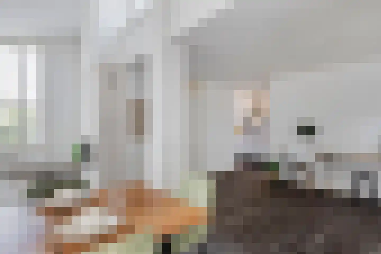 De Klencke 5 Eindhoven thumbnail 14