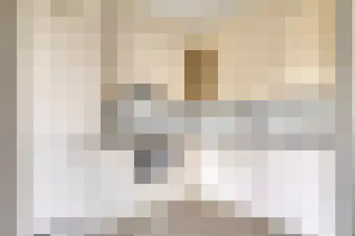 De Klencke 7 Meppel thumbnail 11