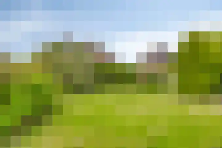 De Klencke 7 Meppel thumbnail 37