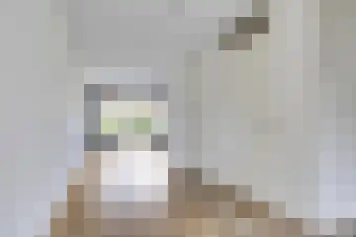 De Klencke 7 Meppel thumbnail 8