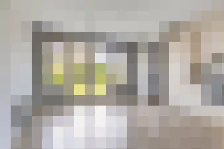 De Klencke 7 Meppel thumbnail 9