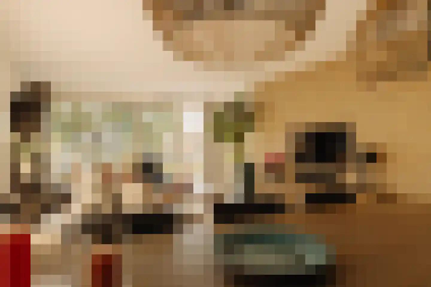 De Klencke 87 A Amsterdam thumbnail 8