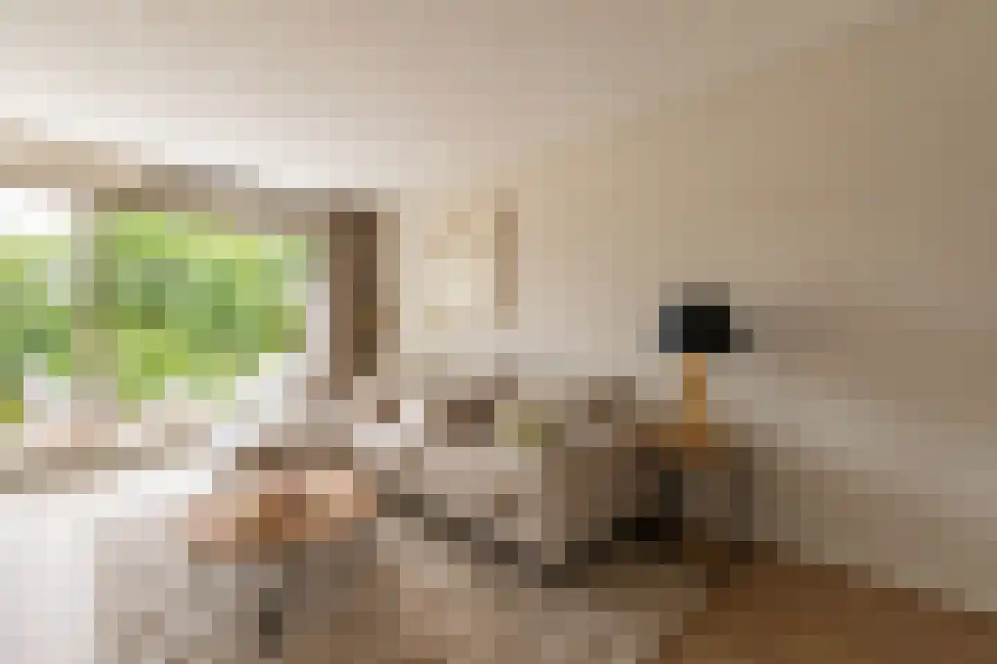 De Klencke 87 C Amsterdam thumbnail 8
