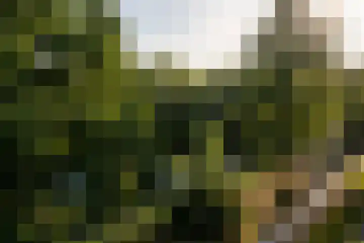 De Klencke 91 A Amsterdam thumbnail 8