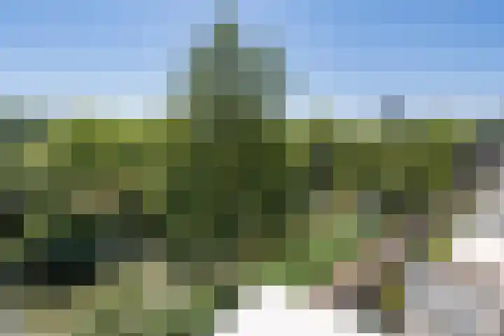 De Klencke 93 B Amsterdam thumbnail 11