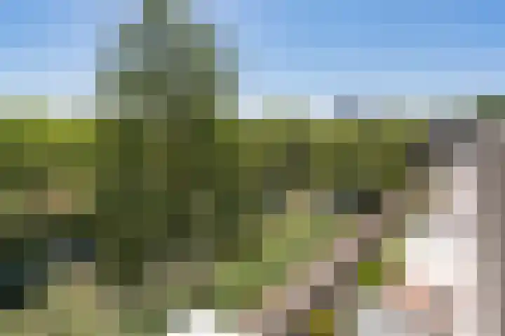 De Klencke 93 C Amsterdam thumbnail 24