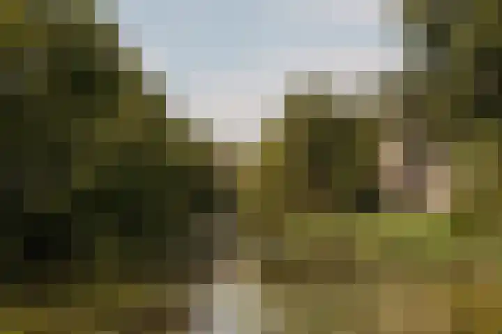 De Klencke 97 G Amsterdam thumbnail 34