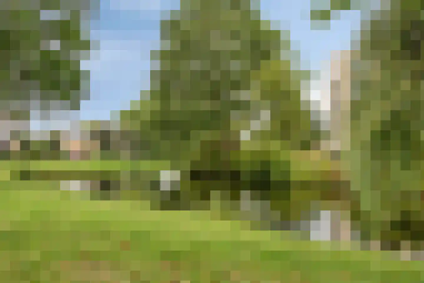 de Klenckestraat 1 Assen thumbnail 28