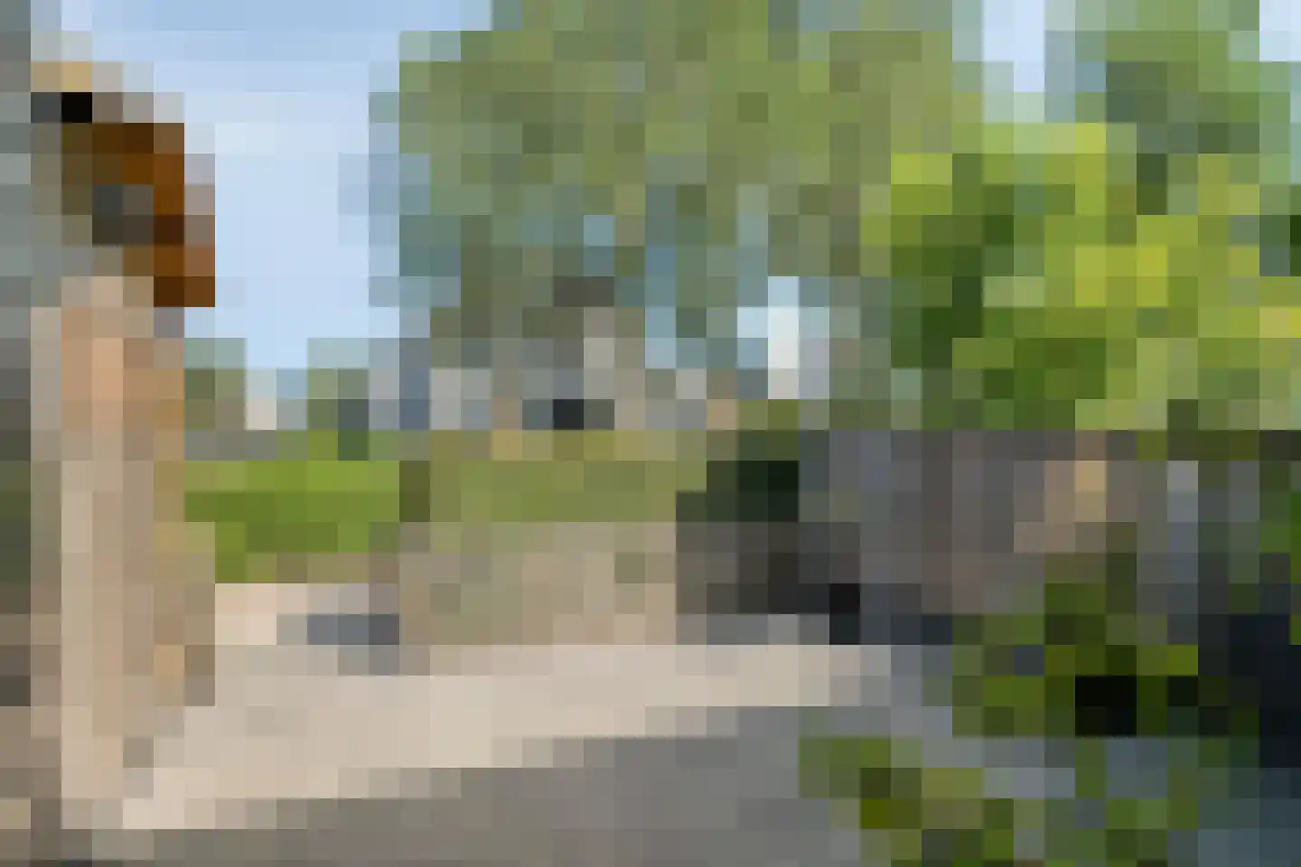 De Klenckestraat 42 Almere thumbnail 6