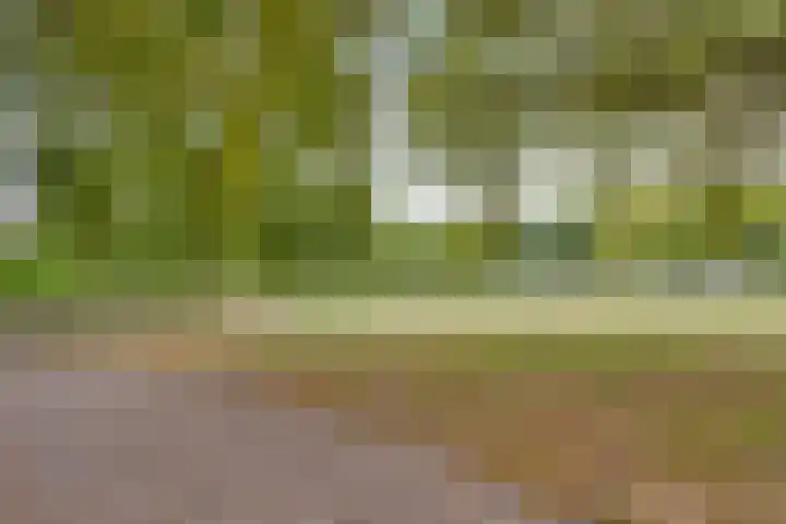 de Klerklaan 20 Eindhoven thumbnail 28