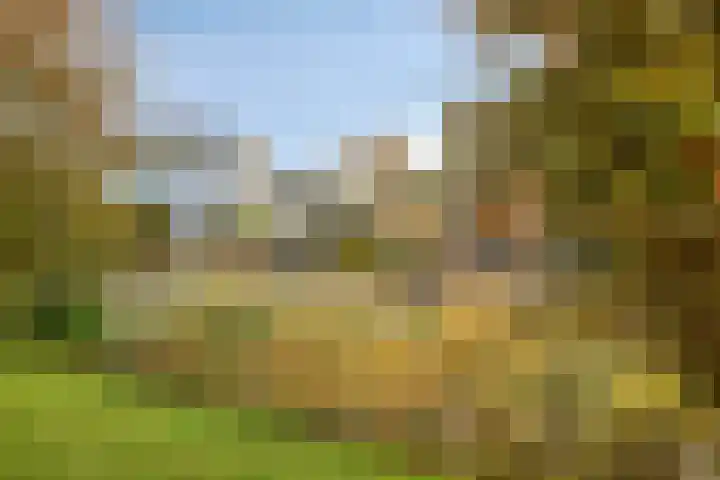De Klerkplan 30 Zoetermeer thumbnail 14
