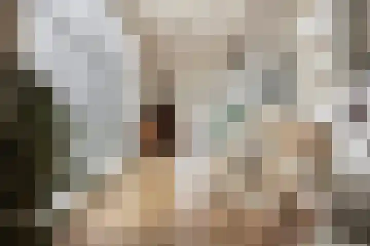 De Klerkplan 30 Zoetermeer thumbnail 7