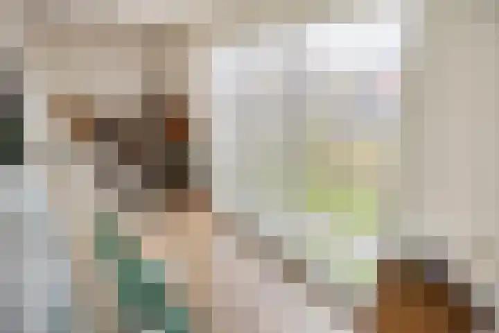 De Klerkplan 30 Zoetermeer thumbnail 9