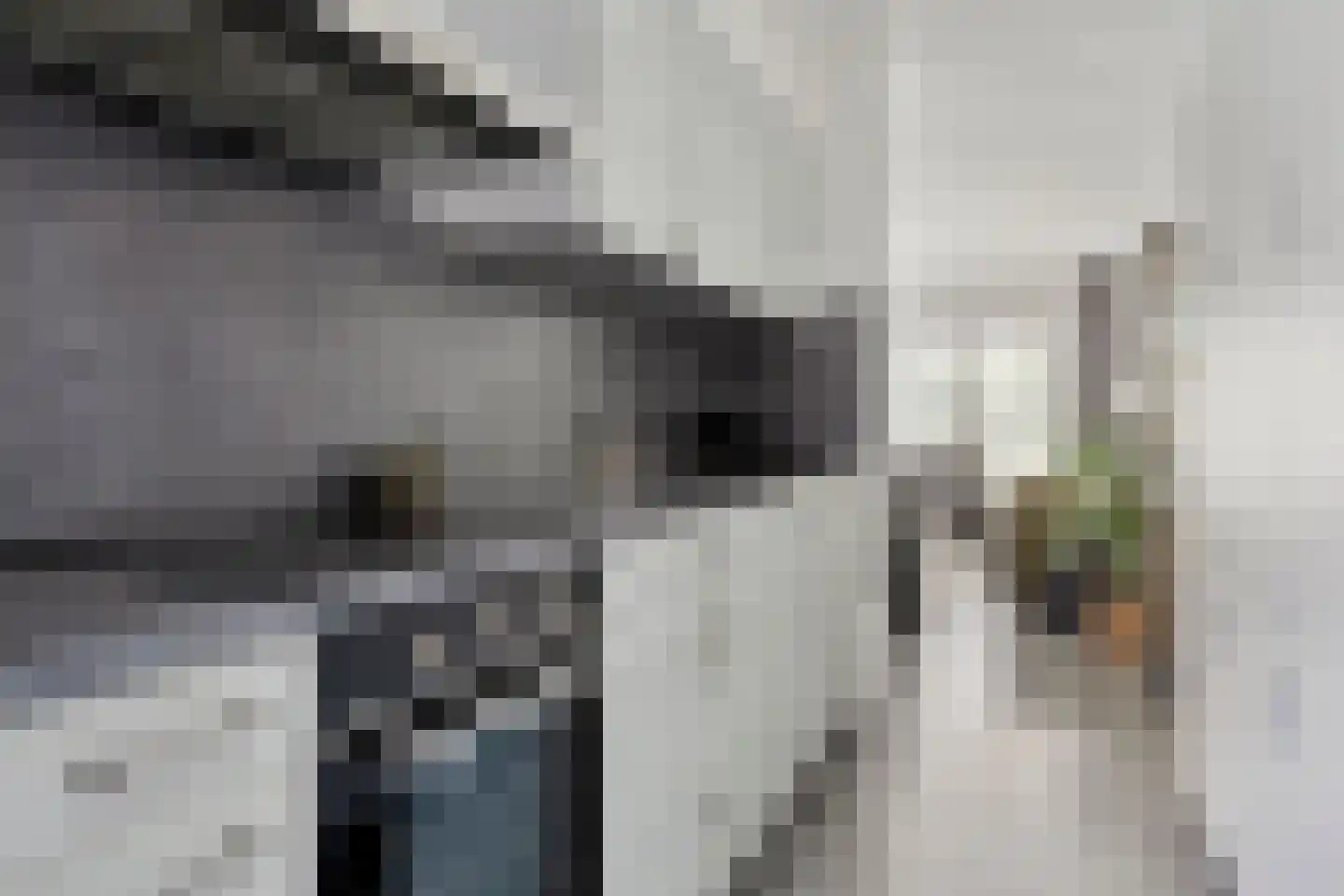 De Klerkstraat 12 Groningen thumbnail 18