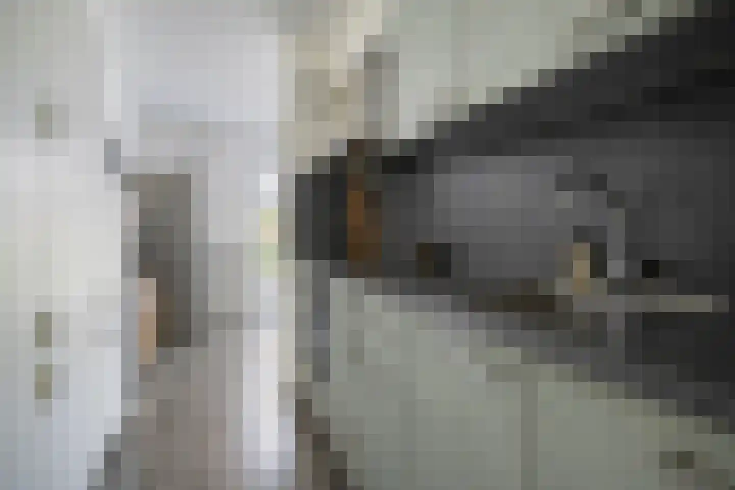 De Klerkstraat 12 Groningen thumbnail 19