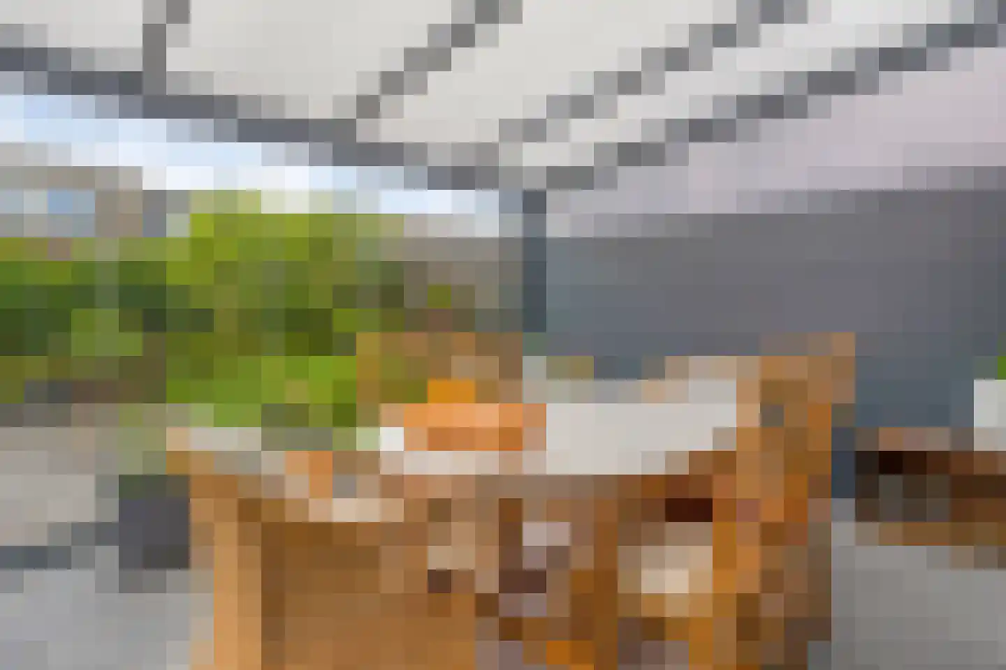 De Klerkstraat 12 Groningen thumbnail 35