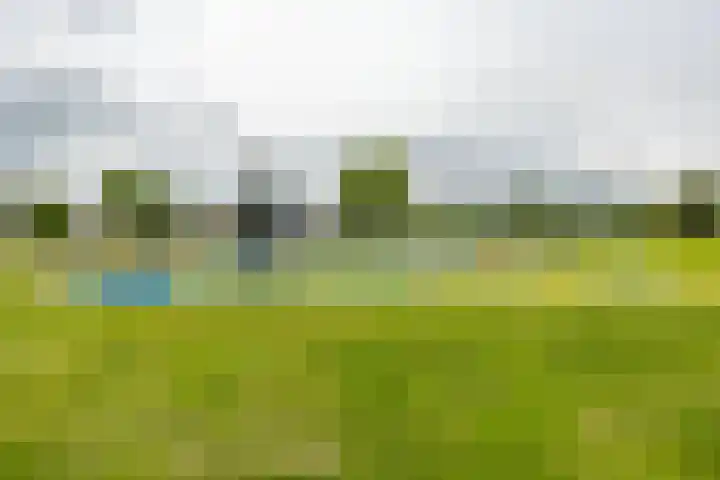 De Klerkstraat 13 Groningen thumbnail 38