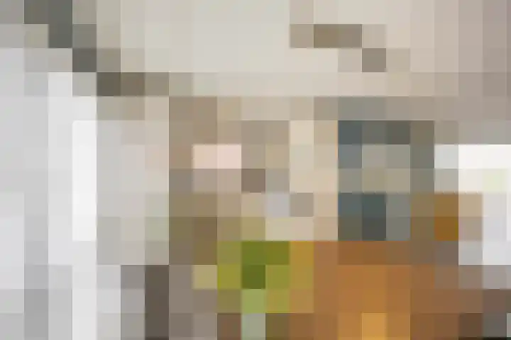 De Klerkstraat 13 Groningen thumbnail 9