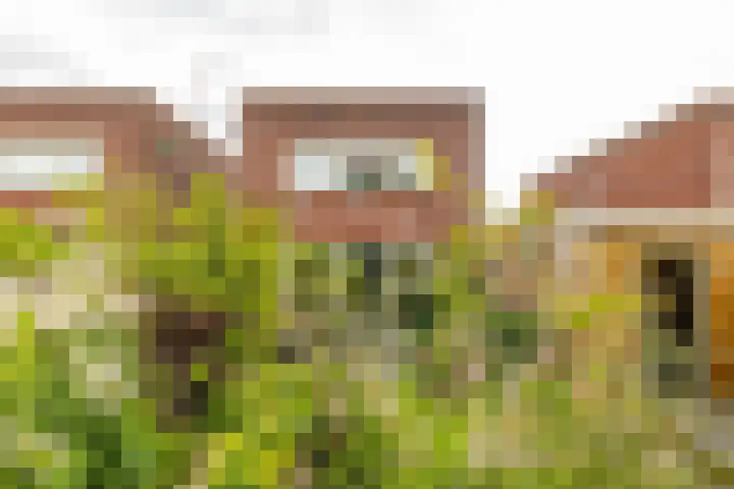 De Klerkstraat 17 Groningen thumbnail 39