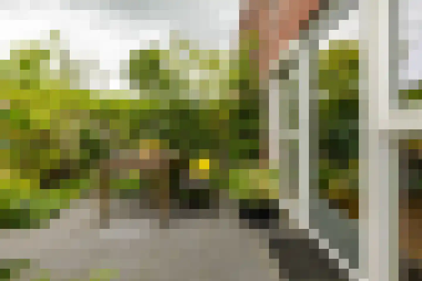 De Klerkstraat 17 Groningen thumbnail 42
