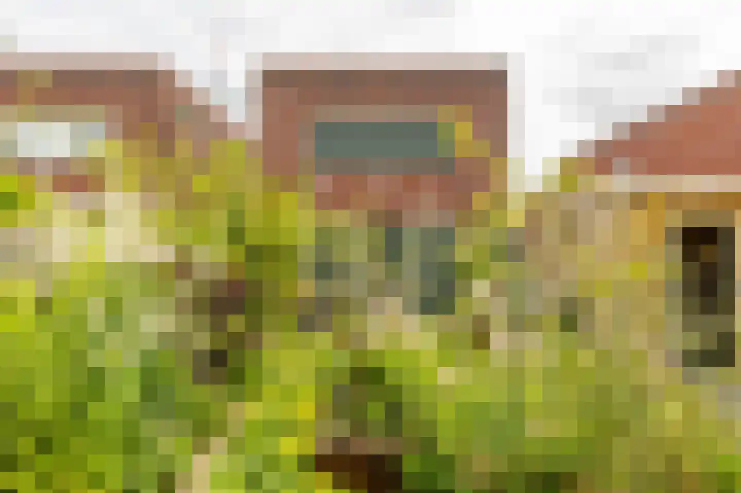 De Klerkstraat 17 Groningen thumbnail 46