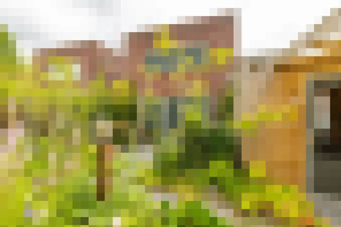 De Klerkstraat 17 Groningen thumbnail 47