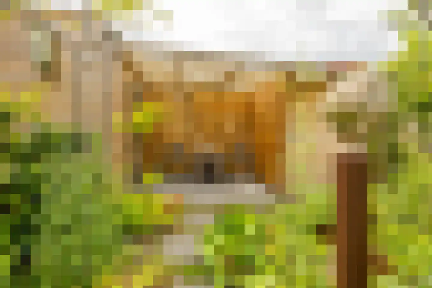 De Klerkstraat 17 Groningen thumbnail 51