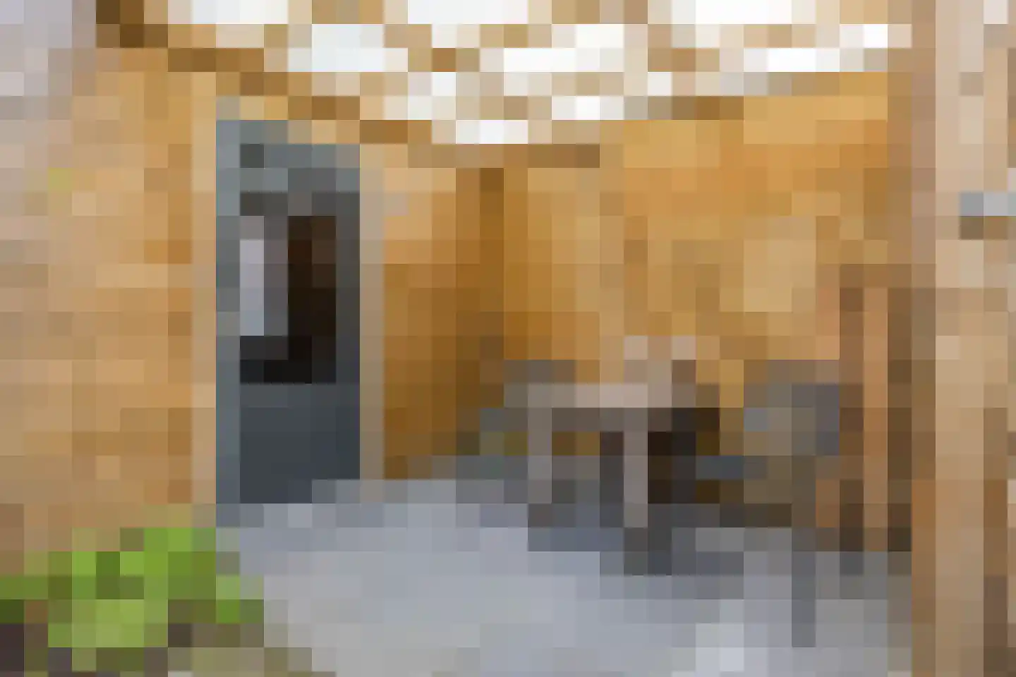 De Klerkstraat 17 Groningen thumbnail 52