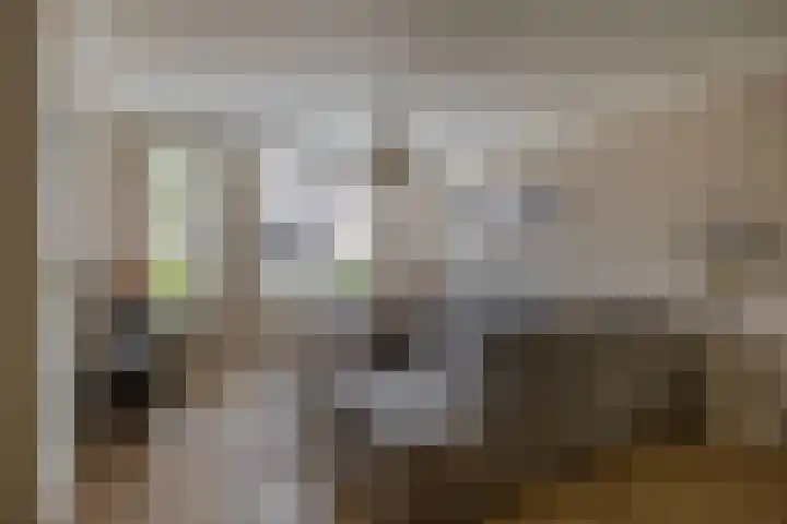 De Kleuskes 43 Liempde thumbnail 11